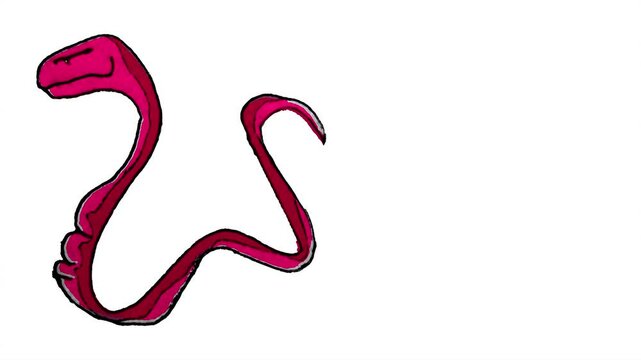 Red snake side view full portrait hand drawn isolated illustration moving in 2d looped animated video