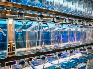 Display of transparent containers illuminated in vibrant blue light at a modern facility