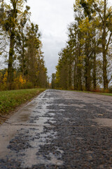 Obraz premium in the autumn season with trees and a concrete road, the asphalt layer of which is collapsing