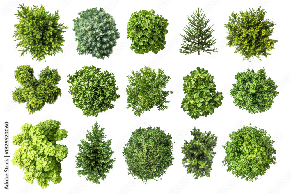 Poster aerial view of various green shrubs and bushes arranged on a white background in a grid pattern