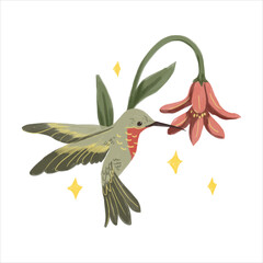 Hummingbird feeding on a pink flower, a beautiful illustration of nature.