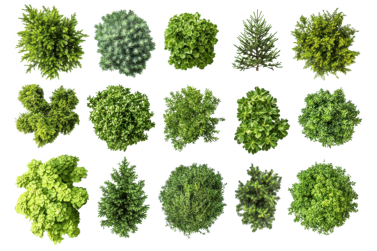 Aerial view of various green shrubs and bushes arranged on a white background in a grid pattern