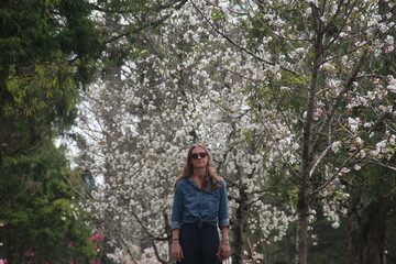 mulher ao lado de sakuras com flor em frei rogério, santa catarina
