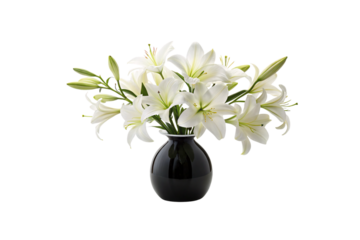 A large bouquet of blooming white lilies fills a glossy black vase, the flowers’ soft curves contrasting with the dark, reflective surface, isolated on a transparent background