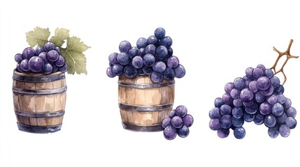 Wine Barrels Covered with Grapes Border Pattern Watercolor Illustration - Shop Web Banner, Cards, Poster, Gift Wrapping Paper