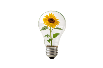 A vibrant sunflower grows inside a transparent lightbulb, its green leaves and golden petals symbolizing sustainable energy, creativity, isolated on a transparent background