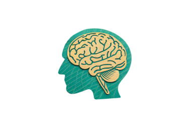 A wooden cutout of a human head painted green with an engraved golden brain, featuring a leaf-textured background, symbolizing sustainability and intelligence, isolated on a transparent background