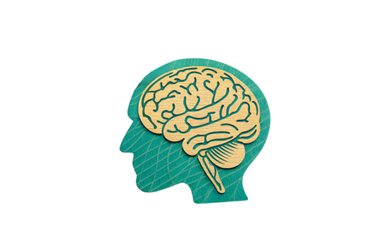 A wooden cutout of a human head painted green with an engraved golden brain, featuring a leaf-textured background, symbolizing sustainability and intelligence, isolated on a transparent background