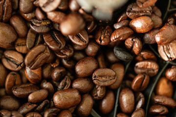Close-up of dark roasted coffee beans.  Rich aroma and flavor.