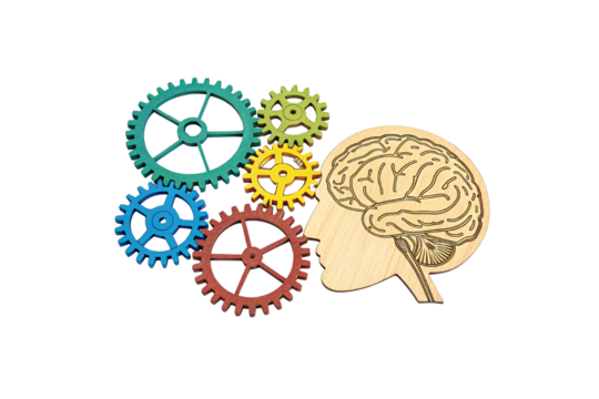 A wooden silhouette of a human head with a carved brain, surrounded by colorful interlocking gears in blue, red, yellow, and green, isolated on a transparent background