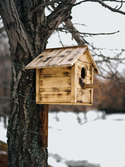 wooden birdhouse on the tree in the spring park on the white snow background