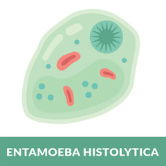 entamoeba histolytica 