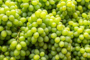 A close-up of fresh green grapes in clusters, perfect for healthy eating, nutrition, or fruit-themed content.