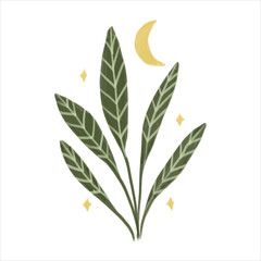 Moonlit Plant with Stars