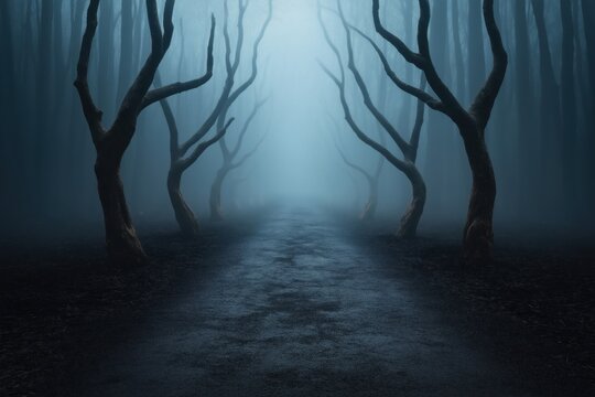 Eerie fog-filled path surrounded by twisted trees creates a haunting atmosphere in the dark woods during twilight hours