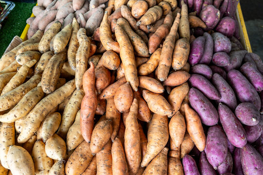 Variety of organic sweet potatoes tubers for sale in market stall, consisting yellow, red and purple skin types