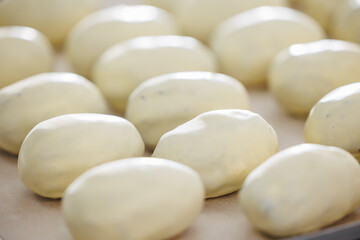 Freshly shaped bread chocolate potato loaves prepared for baking in factory setting