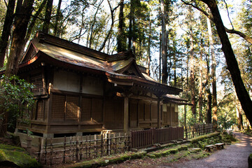 Old wooden shrine in forest of Naritasan Shinshoji Temple for japanese people and foreigner traveler visit and praying at Chiba Prefecture in Tokyo, Japan