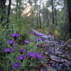 Obraz premium Purple Flowers Trail Forest Path Sunrise Dew Drops