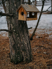 wooden birdhouse on the tree in the spring park on the white snow background