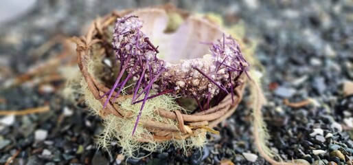 Urchin Basket