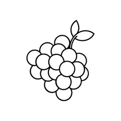 Bunch of Grapes Silhouette Vector Design