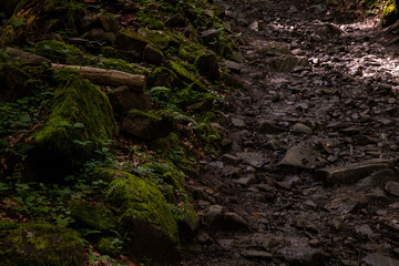 stone road and large stones densely covered with moss along the path