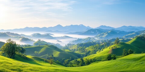 Naklejka premium Landscape Hills of Romania Banner