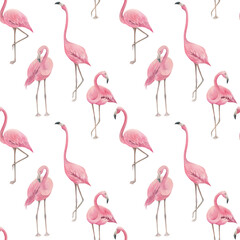 Jungle summer print. Watercolor seamless pattern with  pink flamingos  on white background. Hand drawn illustration