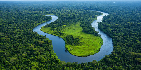 Drone view of a river in the Amazon rainforest