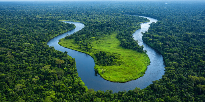 Drone view of a river in the Amazon rainforest
