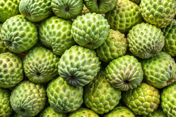 Obraz premium A close-up view of fresh, green cherimoya fruits (Annona muricata) piled together. Their unique, bumpy texture makes them a tropical treat, full of flavor and nutrition.