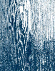 wooden texture vector