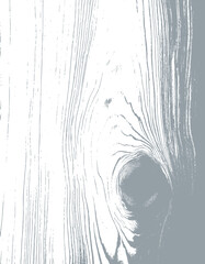 Obraz premium wooden texture vector