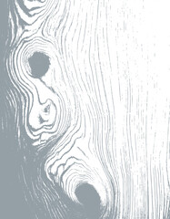 wooden texture vector