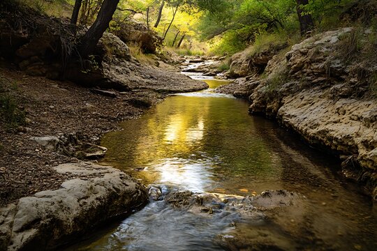 runlet snaking through a stark territory with its fresh water copying encircling traits glows with an alluring wonder  
