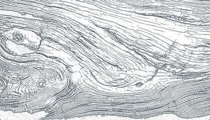 Fototapeta premium wooden texture vector