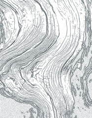 wooden texture vector