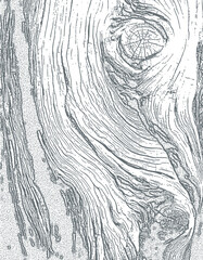 wooden texture vector
