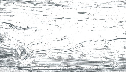 Obraz premium wooden texture vector