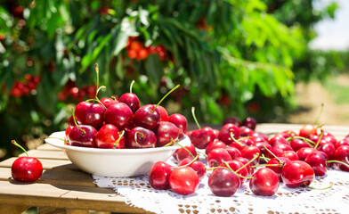 Still life with cherries in a white bowl on a table
