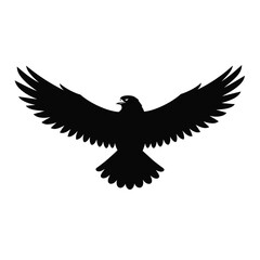 eagle on white background