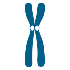 chromosome colored icon