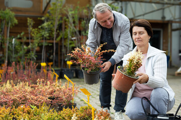 Positive mature couple in casual clothes choosing plants and shrubs in pots while shopping in...
