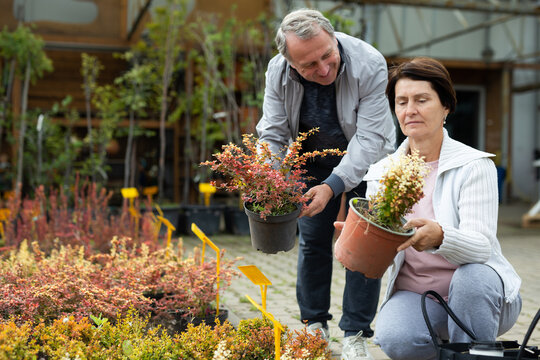 Positive mature couple in casual clothes choosing plants and shrubs in pots while shopping in garden center