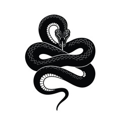 Fototapeta premium snake in the shape of a snake