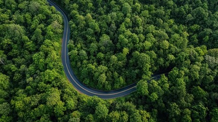 Aerial View of Electric Car Driving Through Lush Green Forest Eco-Friendly Transport Concept