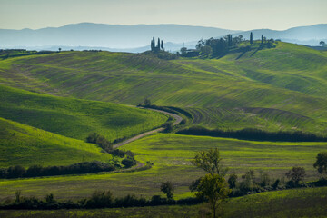 Obraz premium Idyllic green rolling hills beautifully captured with a winding road amidst the countryside, evoking calmness and serenity. Perfect representation of untouched nature and rural charm.