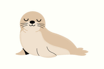 Seal animal symbol and cute seal vector illustration