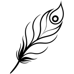 feather vector illustration